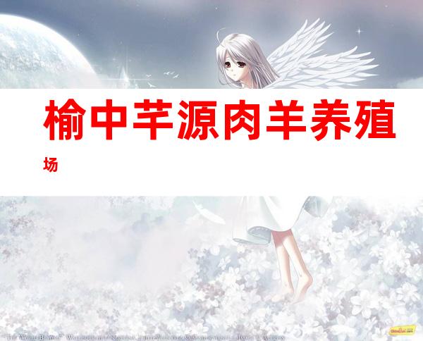 榆中芊源肉羊养殖场