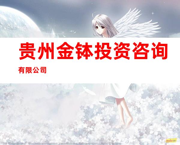 贵州金钵投资咨询有限公司